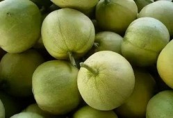 英国吃瓜两个人吃瓜视频,甜蜜互动引网友热议