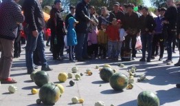 吃瓜比赛玩什么,一场别开生面的吃瓜比赛盛宴