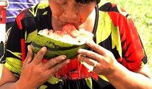 郑州老太太吃瓜,一场引发社会热议的街头奇观