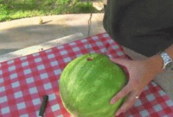 普通的吃瓜心得,那些你不知道的幕后故事与八卦趣闻