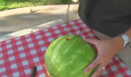 普通的吃瓜心得,那些你不知道的幕后故事与八卦趣闻