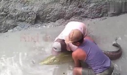 吃瓜群众围观锦鲤,一场全民狂欢的盛宴