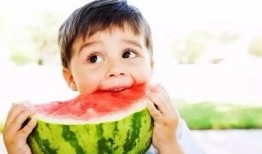 共和国吃瓜,揭秘网络热点的幕后故事