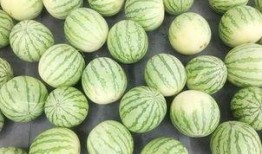 当吃瓜群,网络时代的“围观”现象解析