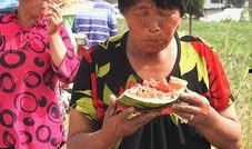 郑州老太太吃瓜,一场引发社会热议的街头奇观