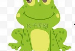 青蛙头吃瓜视频素材