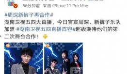 爆料吃瓜模板,某明星深夜密会神秘女子，真相令人震惊！