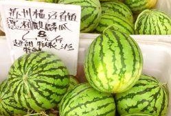 麒麟瓜怎样打开吃,解锁美味新体验