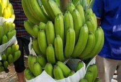 吃瓜缅甸北部,吃瓜群众眼中的风云变幻