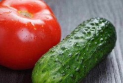 小瓜可不可以和番茄吃,探寻健康美味的秘密