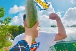 吃瓜群众瓜哥网红是谁,揭秘吃瓜群众心中的瓜界传奇