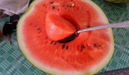 网络上有哪些吃瓜,盘点热门事件，揭秘幕后真相