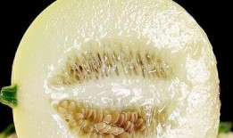 盘点吃瓜,揭秘明星幕后真相