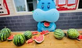 锦鲤吃瓜酱,揭秘网络红人的幕后故事