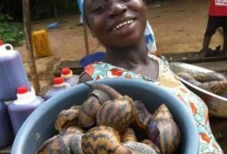 黑吃瓜牛,揭秘网络红人的崛起与争议