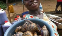 黑吃瓜牛,揭秘网络红人的崛起与争议