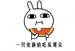 网语 吃瓜 啥意思,揭秘“吃瓜”背后的网络文化现象