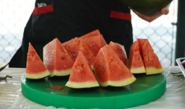 带你吃瓜技能,带你领略娱乐圈的“瓜田”盛景