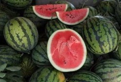 金钱的诱惑吃瓜,金钱诱惑下的吃瓜众生相