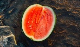 巴坦木吃瓜,一场味蕾的奇幻之旅