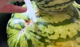 吃瓜搞笑特效视频,揭秘吃瓜搞笑特效视频背后的欢乐秘密