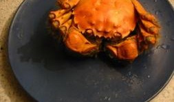 依依吃瓜,揭秘娱乐圈那些不为人知的幕后故事