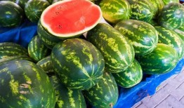 国外吃瓜的地方,全球各地“吃瓜”盛况大盘点