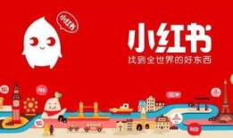 小红书吃瓜43分钟,43分钟深度解析