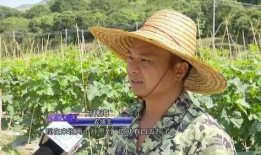 广东亮哥吃瓜视频,揭秘娱乐圈幕后故事