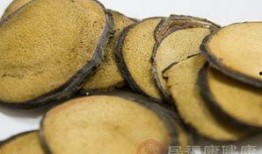 吃鹿茸片可以吃蒲瓜吗,食用搭配指南