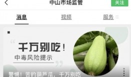 瓜多得不知道吃哪个瓜,哪一款瓜才是你的心头好？