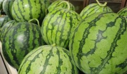 流学生外国吃瓜,一场文化碰撞的趣味之旅