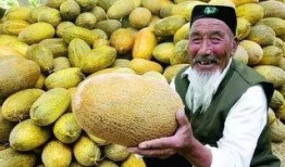 徐州吃哈密瓜,哈密瓜的甜蜜邂逅