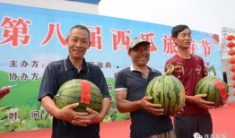 中原科技吃瓜,揭秘行业“吃瓜”背后的真相与启示