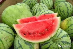 上音418吃瓜,一场关于“吃瓜”的校园热议事件深度解析