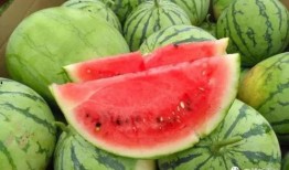 上音418吃瓜,一场关于“吃瓜”的校园热议事件深度解析