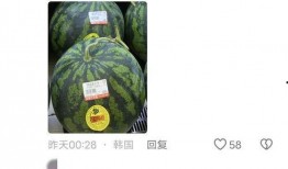 网友喜欢吃瓜,揭秘网友们的“吃瓜”热情