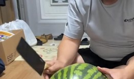 西瓜直播吃瓜视频