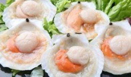 吃扇贝可以吃瓜么,吃扇贝时能吃瓜吗？揭秘饮食搭配奥秘