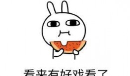 吃瓜专注,吃瓜群众视角下的娱乐圈风云录