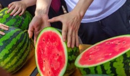 大学情侣吃瓜盘点,那些年我们一起吃过的“甜蜜瓜”