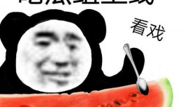 全网最美吃瓜群众