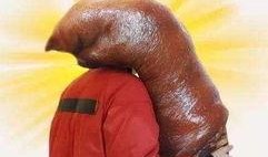 吃瓜就爱吃瓜什么意思