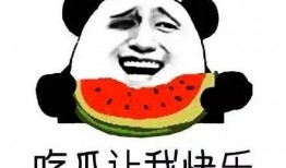 两个吃瓜群众,揭秘娱乐圈幕后风云