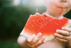 咬秋吃瓜,秋日里的清凉美味之旅