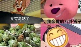 最新吃瓜文件,揭秘娱乐圈幕后真相