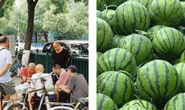 国外吃瓜的地方,全球各地“吃瓜”盛况大盘点