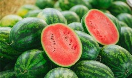 为什么叫啃瓜不叫吃瓜,揭秘“啃瓜”一词的独特魅力