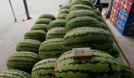 岸上吃瓜,揭秘娱乐圈幕后风云