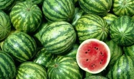 吃瓜射手,揭秘娱乐圈幕后真相